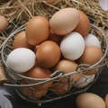 Tri jednostavna načina da proverite da li je jaje pokvareno
