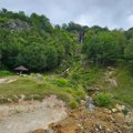 Beloglavi sup dobio novi dom: Nova gnezdarica u Sopotnici