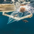 Svetski dan zaštite životne sredine: Ronioci volonteri čiste morsko dno oko Santorinija