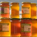 U Subotici u toku 26. Dani pčelarstva