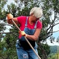 Napustila grad i zamenila ga maslinjakom! Udovica slavnog pevača pokazala svoj raj: "u procesu je renoviranja"