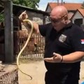(Video) Ujela ga zmija: Ni najpoznatiji zmijolovac u Srbiji nije imun na ujede otrovnica, evo šta mu se dogodilo