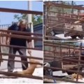 (Uznemirujući snimak) Muškarac iz Mladenovca krvnički tukao pse do smrti, pa ih odneo u pečenjaru. Ovo je krvnik G.Ž. (55)…
