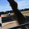 Zapadni mediji: Rusija diktira cene na tržištu žitarica