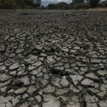 Pluća planete ostaju bez vazduha: Suše sve češće, a stručnjaci zabrinuti da bi Amazon uskoro mogao da dostigne prelomnu…