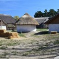 Najneobičnije selo u Srbiji: nalazi se u srcu Srema, a posvećeno je Keltima