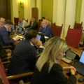 Skupštinski Odbor: Tepić i Ponoš kažnjeni, Povereniku odobreno zapošljavanje 11 osoba