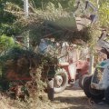 JKP Mediana: Uređenje javnih i zelenih površina