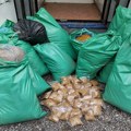 Krivična prijava protiv Temerinca zbog 200 kilograma rezanog duvana