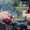 Minuti ćutanja prožeti pucketanjem bika i svinje na ražnju (video)