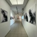 Trideset godina crteža u galeriji „Haos“