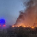 Direktor komunalnog preduzeća napao novinarku dok je snimala požar na deponiji
