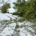 Sneg u Ivanjici prozrokovao veliku štetu! Nadležne ekipe i meštani pokušavaju da reše problem električne energije