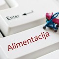 Iz Alimentacionog fonda isplaćeno više od 10,4 miliona dinara: Zakon stupio na snagu u junu