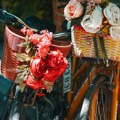 Палић добија нову бициклистичку стазу, акценат је на заштити природе, градиће се и дрвени видиковац, а ево куда ће ићи траса…