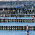 Paklena vrućina u Evropi: Rekordi širom kontinenta, temperature preko 40 stepeni