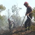 Požari u Srbiji - uklanjaju se preostala žarišta