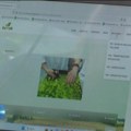 Srbobranski salaš kao primer poslovnog uspeha u poljoprivredi (VIDEO)