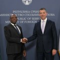 Đurić: Novi zamah u odnosima Srbije i Centralnoafričke Republike (foto)