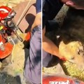 Pogledajte hrabru akciju spasavanja u Senti: Vatrogasci izvukli Donu iz dubokog bunara, pa poručili jedno