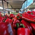 Na pijaci "Vidikovac“ najveća prodaja domaće paprike: Najpoznatiji proizvođači iz Srbije ponudiće svoje proizvode