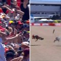 Zastrašujuća scena u Španiji: Mark Markez pao sa motora, publika u neverici gledala favorita