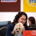 Za 55% zaposlenih pet-friendly kancelarija može biti razlog za promenu posla