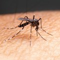 Oprez ako letujete u Grčkoj: Širi se opasan virus, sve više novih slučajeva