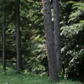 Naplata ulaza u Nacionalni park Fruška gora za sada samo vikendom