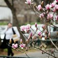 Vreme danas promenljivo, maksimalna temperatura 21 stepen