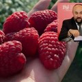 Voćari traže moratorijum na kredite