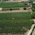 Poljoprivrednici traže da država ograniči trgovačke marže na đubrivo i repromaterijal