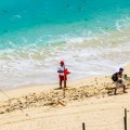 Španija zatvorila plažu zbog najezde morskih stvorenja: Turisti ne smeju u vodu, stručnjak objasnio o čemu je reč