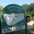 "Humanitarni ponedeljak" na Štrandu za Marka Kovačevića