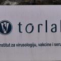 Popović: Ruska vakcina protiv raka uskoro u Srbiji, stručnjaci „Torlaka” idu u Moskvu