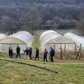 Отворен конкурс за доделу пластеника пољопривредним газдинствима из Пријепоља