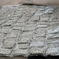 FOTO: Novosadska policija zaplenila više od 60 kg marihuane i uhapsila državljanina Crne Gore