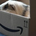Zašto Amazon nema rivala na Zapadu?