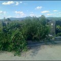 Kraljevo: Neodržavanje grobnih mesta