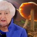 "Magične gljive nisu imale nikakvog uticaja na mene": Ministarka finansija SAD priznala da je jela psihodelične pečurke…