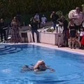 Šok u emisiji uživo: Zorica Marković uskočila u bazen kod Jovane Jeremić, gosti poskakali na noge, vriska i cika se ori…