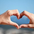 Humanitarni dan u Beočinu za pomoć u lečenju Tare Mikić Popodnevni bazar i večernja svirka