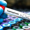 Tri nova slučaja leptospiroze u Kantonu Sarajevo
