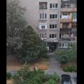 Zastrašujući snimak iz Novog Sada: Ljudi uspaničeno beže i spasavaju žive glavu tokom stravične oluje