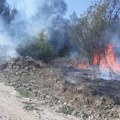 Požar na područiju Manojlovca i Kaštavara kreće se prema Podrimcu i Dušanovu