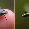 Kineski "dron-muva": Tehnološko čudo veličine insekta koje vidi i čuje sve (video)