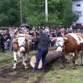 Seoski višeboj i ove godine u Jablanici (VIDEO)