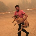 Mladić koji je oduševio svet: Golim rukama spasava životinje iz podivljalog požara u Grčkoj! Zovu ga - novi noje (foto)