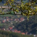 Šumadijsko selo „promenilo“ ime: Umesto Vučić sad se zove Studentić (foto)