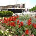 Čačak je grad sa najviše posađenog cveća u Srbiji! Direktor Gradskog zelenila za Kurir: Trudimo se da podstaknemo sve…